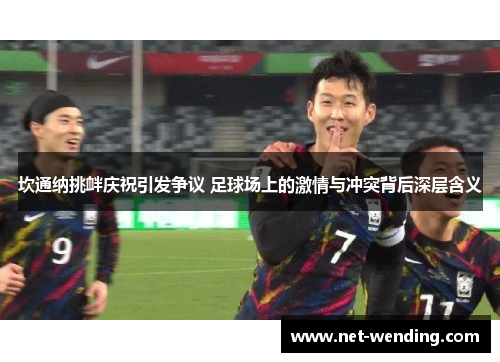 坎通纳挑衅庆祝引发争议 足球场上的激情与冲突背后深层含义