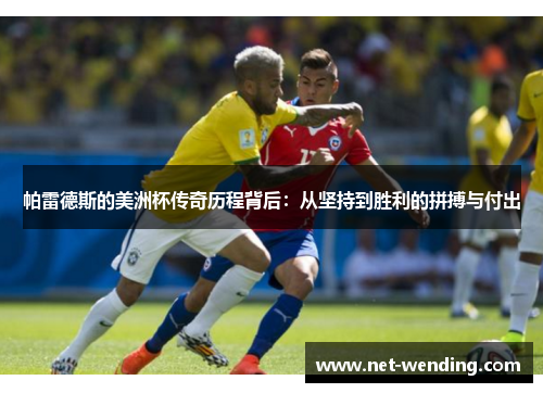 帕雷德斯的美洲杯传奇历程背后：从坚持到胜利的拼搏与付出