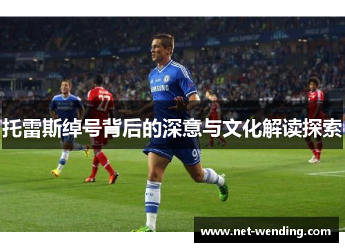 托雷斯绰号背后的深意与文化解读探索 托雷斯绰号背后的深意与文化解读探索