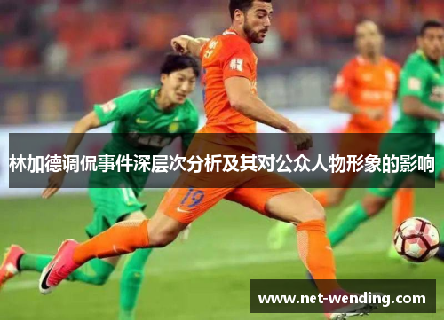 林加德调侃事件深层次分析及其对公众人物形象的影响 林加德调侃事件深层次分析及其对公众人物形象的影响