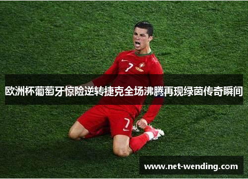 欧洲杯葡萄牙惊险逆转捷克全场沸腾再现绿茵传奇瞬间 欧洲杯葡萄牙惊险逆转捷克全场沸腾再现绿茵传奇瞬间